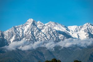 Cricket Betting India Tutorial: Step-by-Step Guide for India (2026)